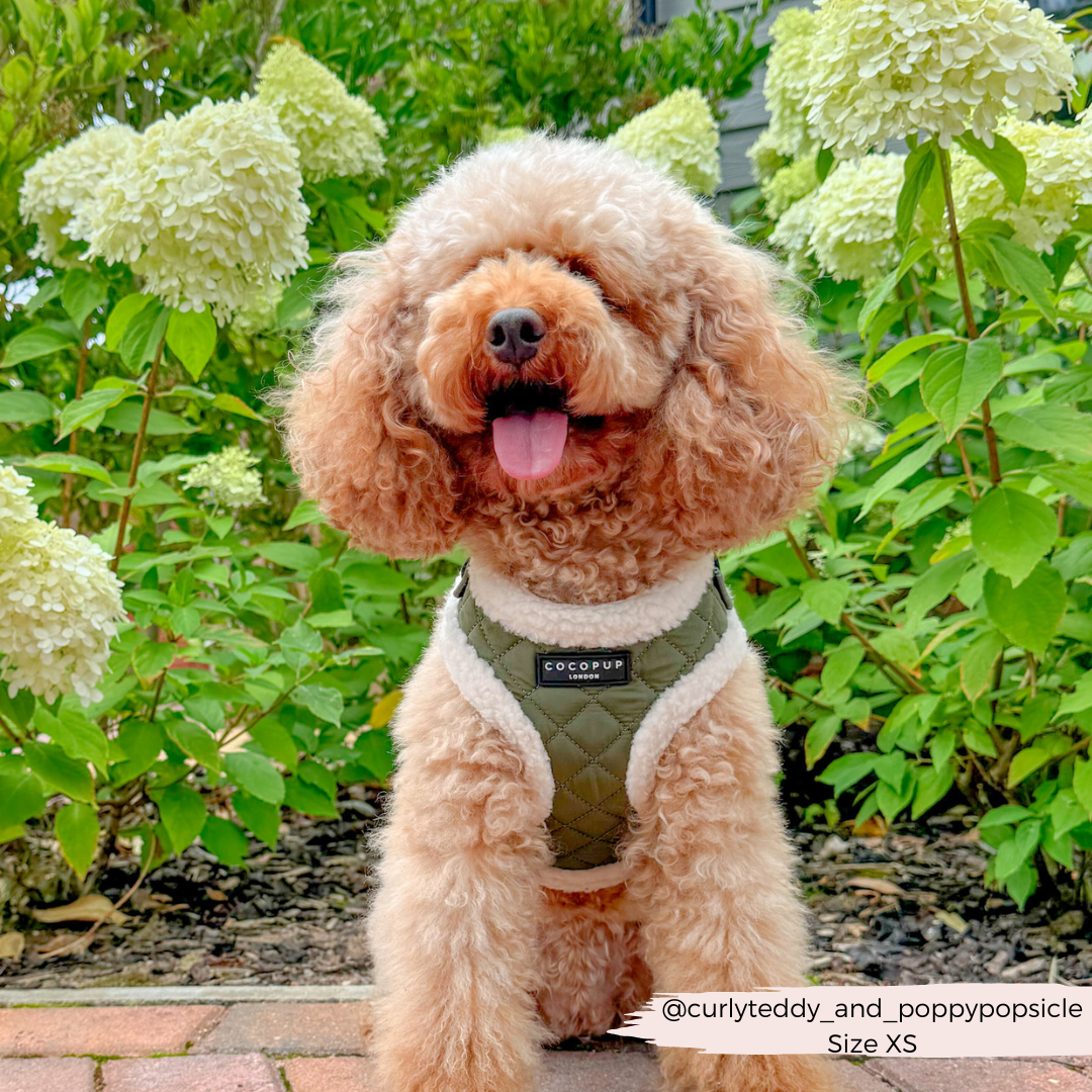 Khaki Quilted Adjustable Neck Harness