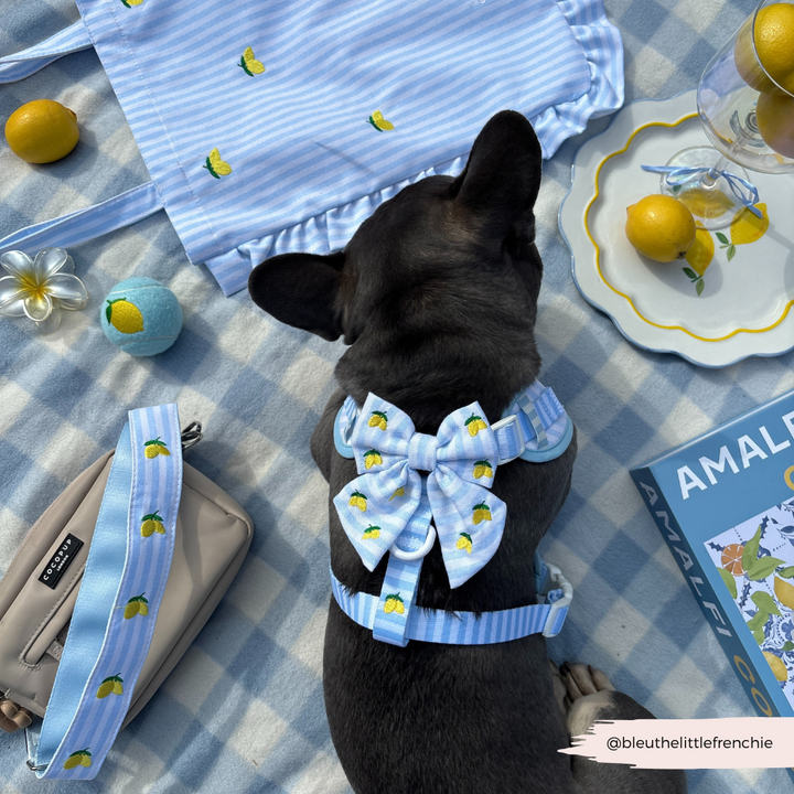 Living La Vida Lemon Sailor Bow Tie