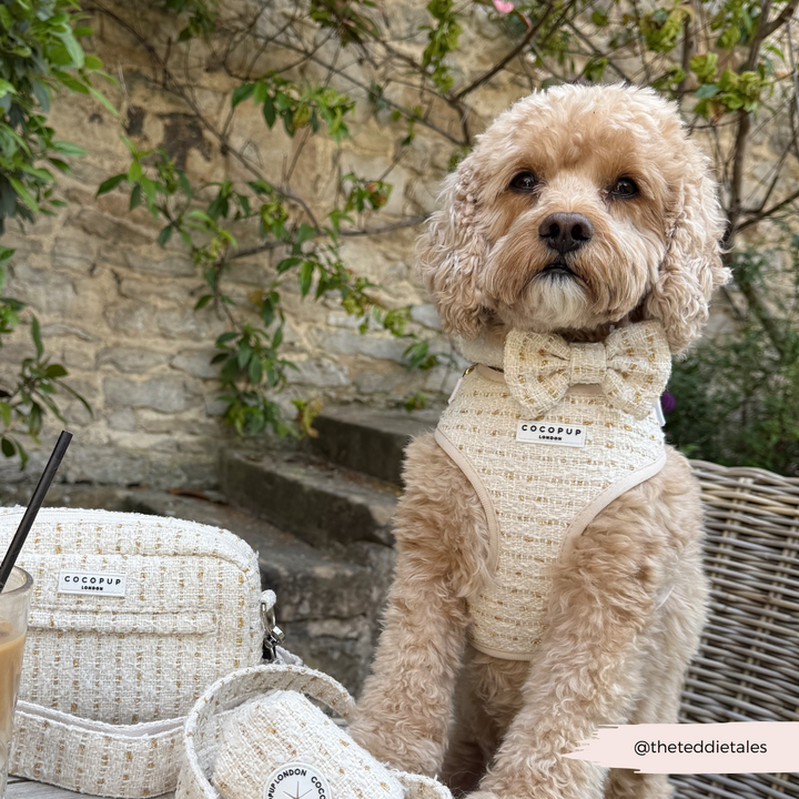Vanilla Textured Tweed Bow Tie