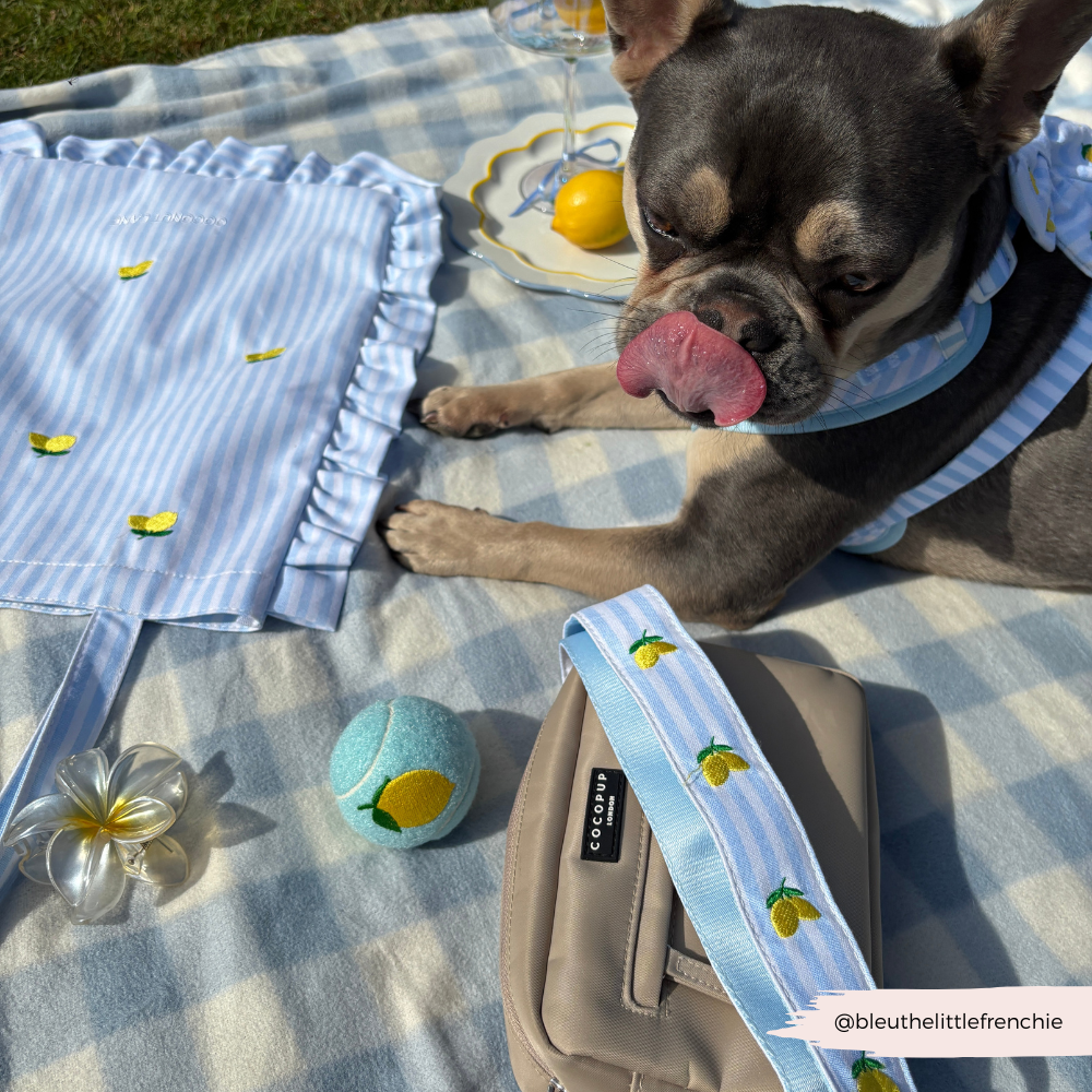 Bag Strap - Living La Vida Lemon