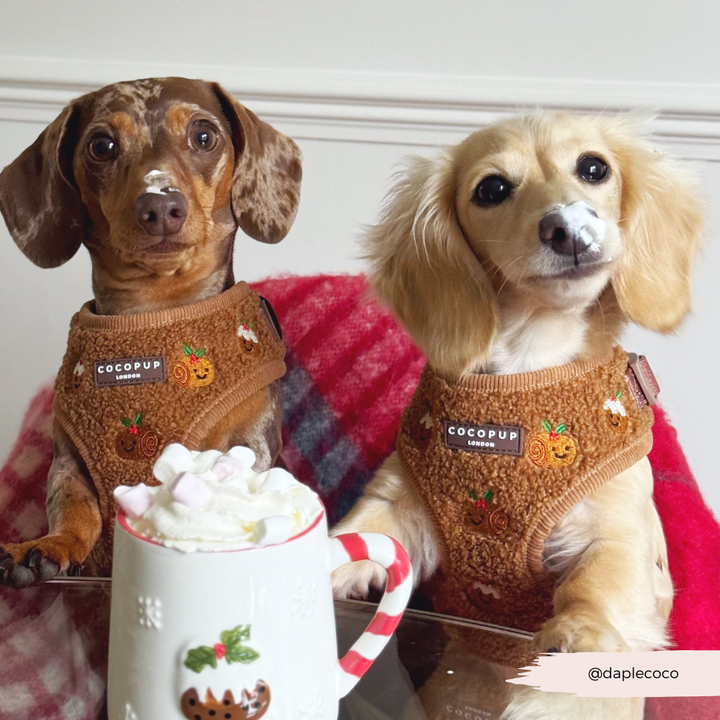 Festive Pudding Pup Adjustable Neck HARNESS