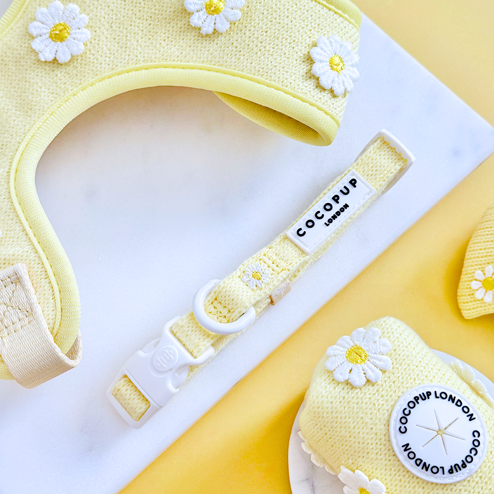 Buttercup Pup COLLAR