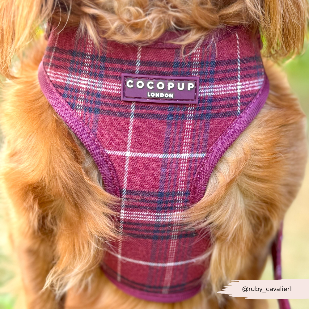 Mulberry Plaid Adjustable Neck HARNESS