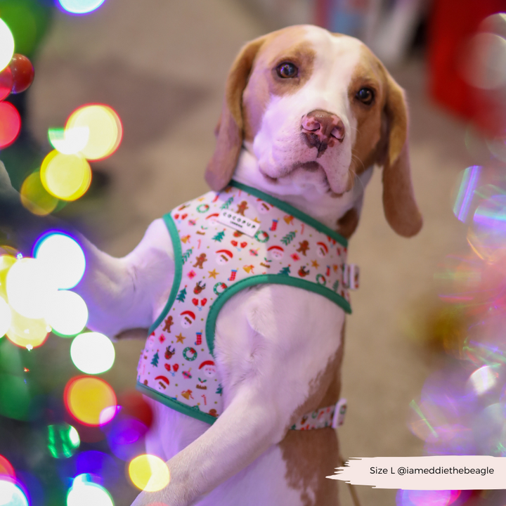 Christmas Pawty Adjustable Neck Harness, Lead & Collar Bundle