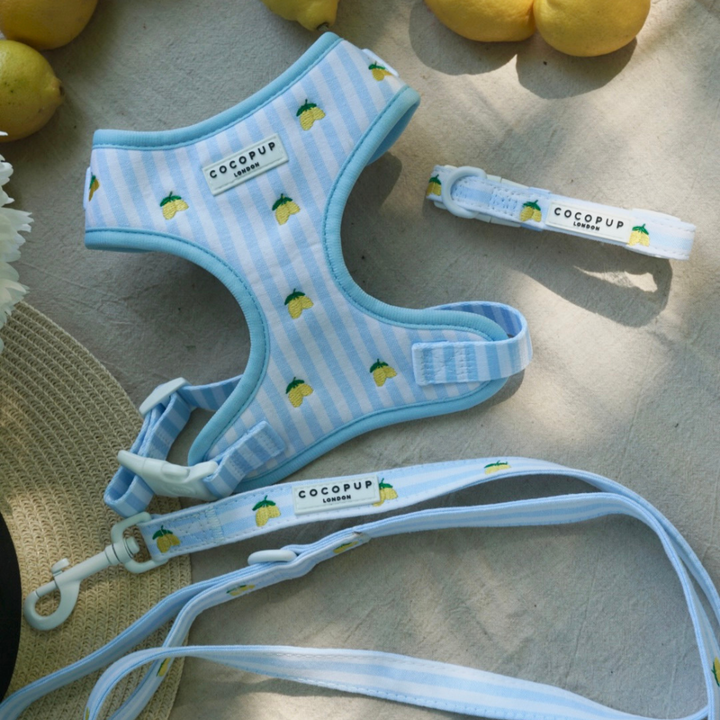 Living La Vida Lemon Adjustable Neck HARNESS