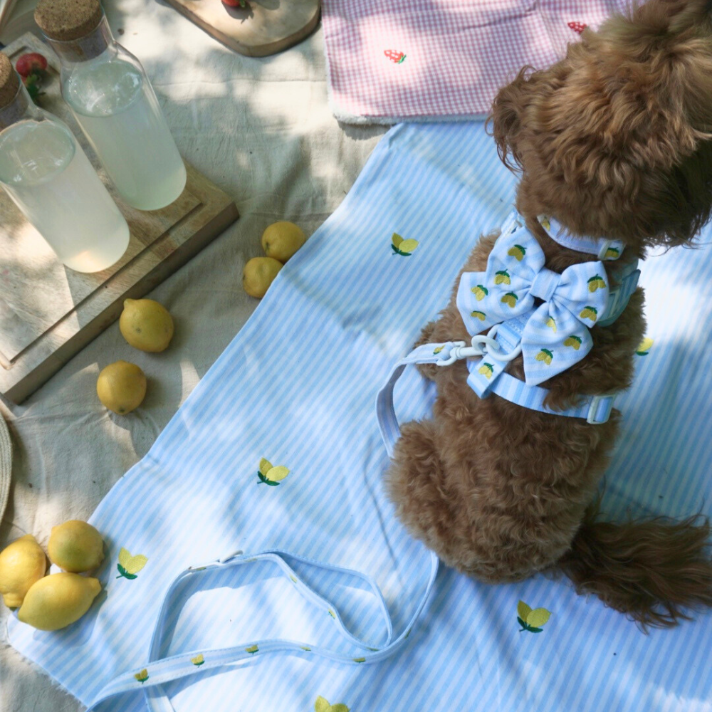 Living La Vida Lemon Sailor Bow Tie