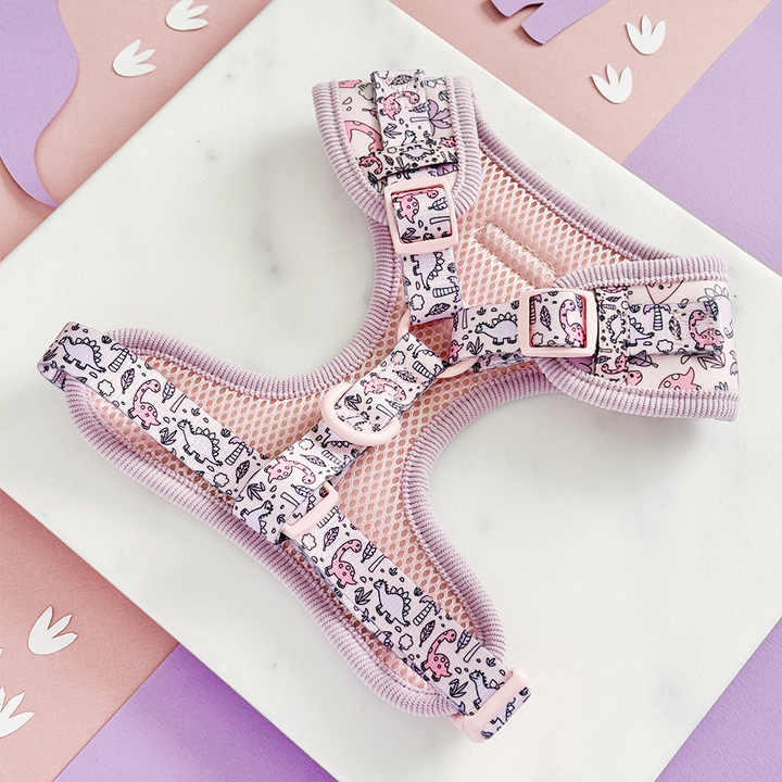 Princess Dino Adjustable Neck HARNESS