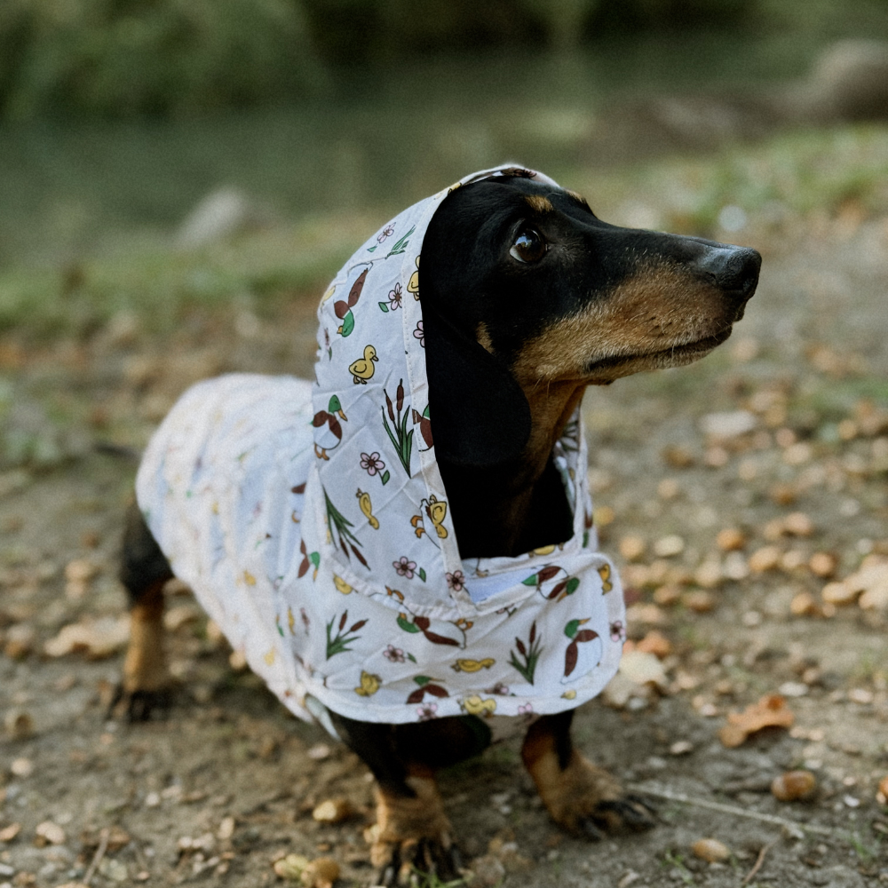 Dog Raincoat - Puddle Pup