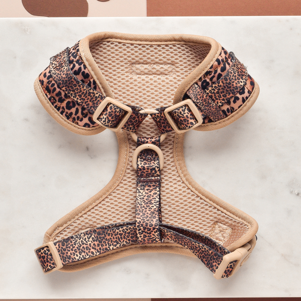 Quilted Leopard Pup Adjustable Neck Harness