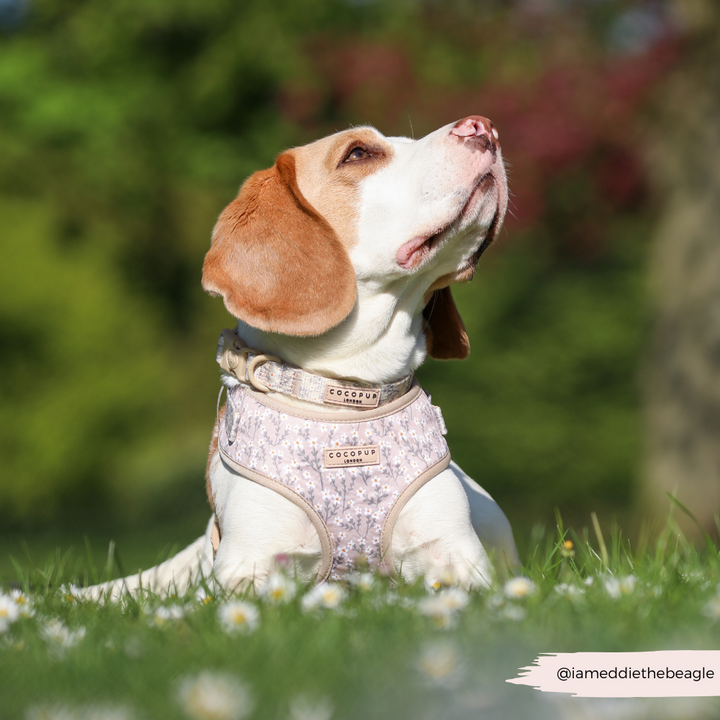 Nude Flowers Adjustable Neck HARNESS