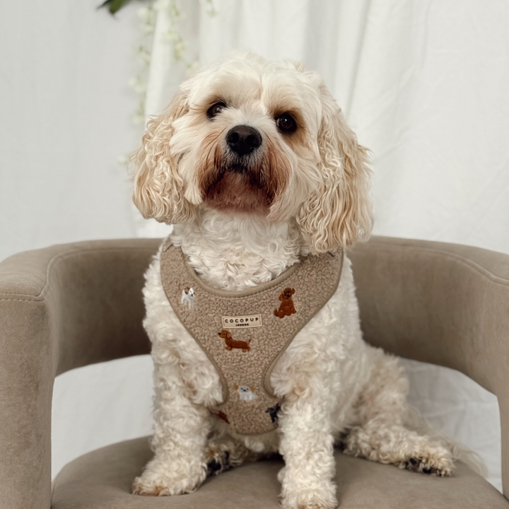 Ralph & Friends Mocha Teddy Adjustable Neck HARNESS