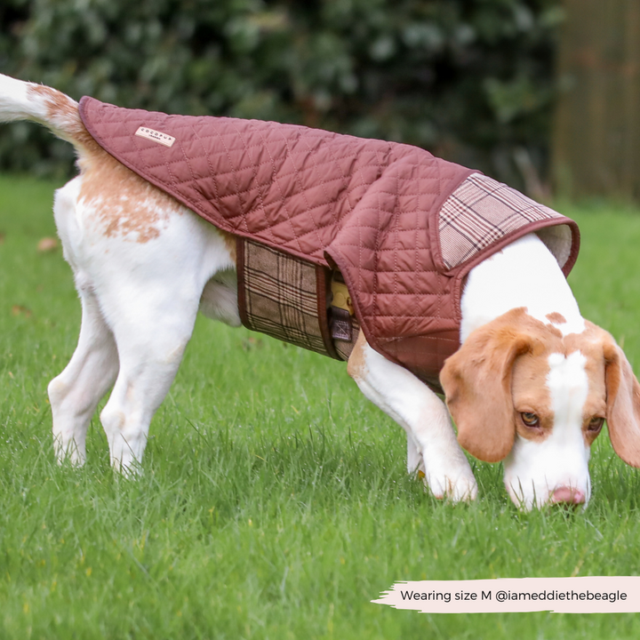 LUXE Quilted Dog Coat - Pup Plaid