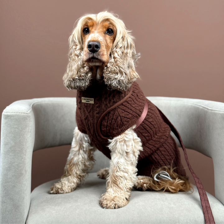 Hot Coco Cable Knit Adjustable Neck Harness, Lead & Collar Bundle