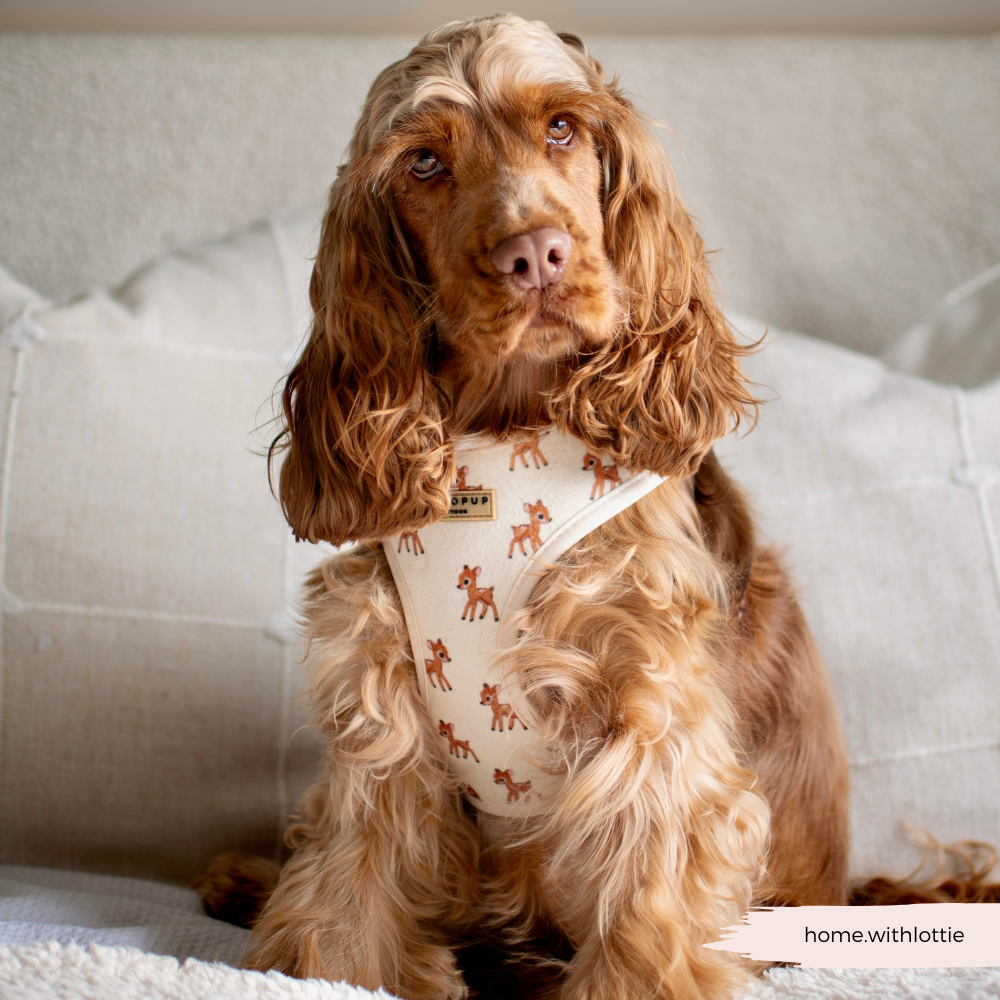 Fleecy Fawn Adjustable Neck Harness, Lead & Collar Bundle