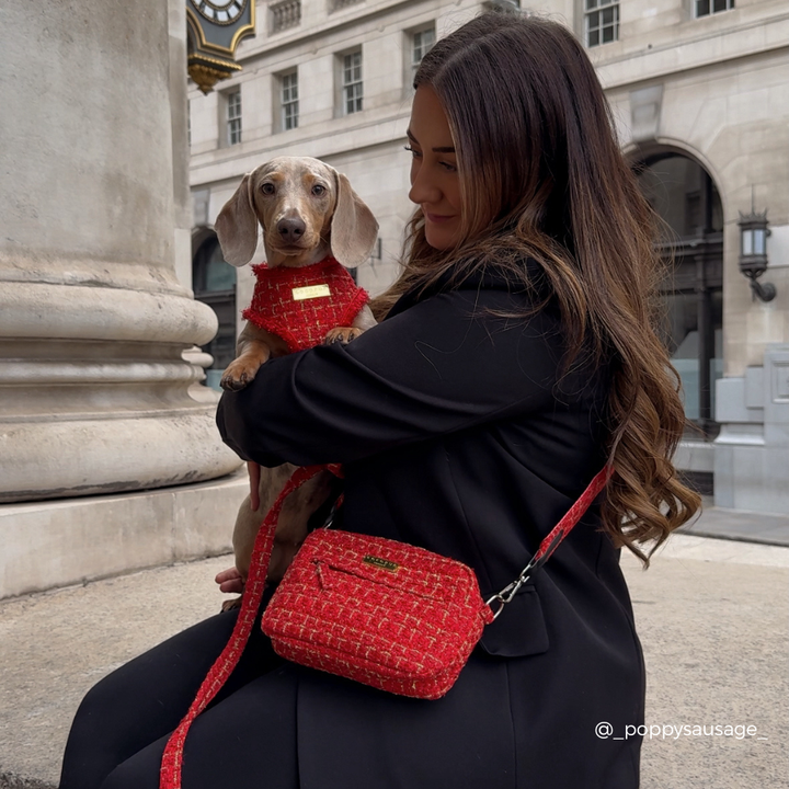 Red Textured Tweed Adjustable Neck Harness, Lead & Collar Bundle