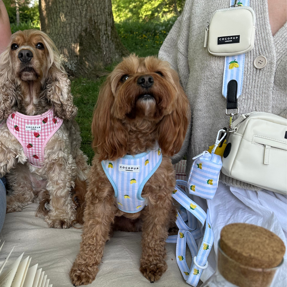 Living La Vida Lemon Poop Bag Holder