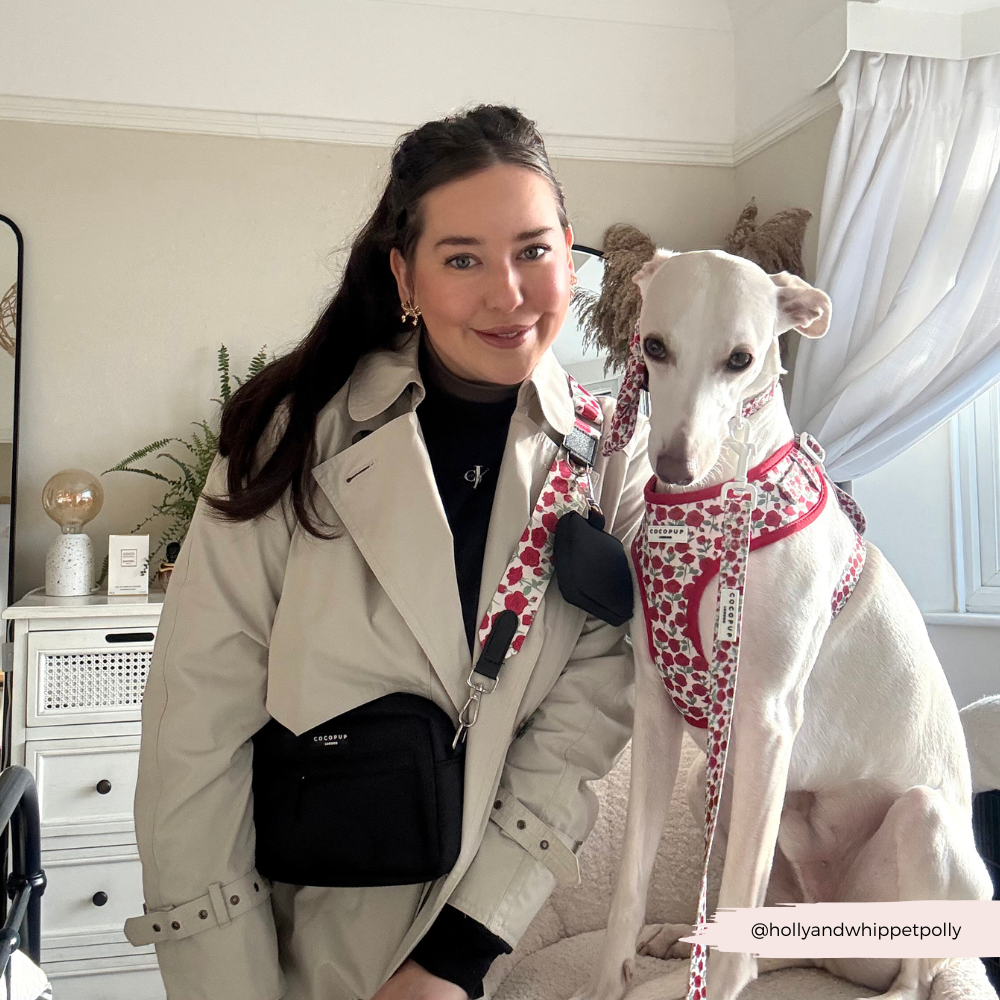 Dog Walking Bag Bundle - Barkquet of Roses