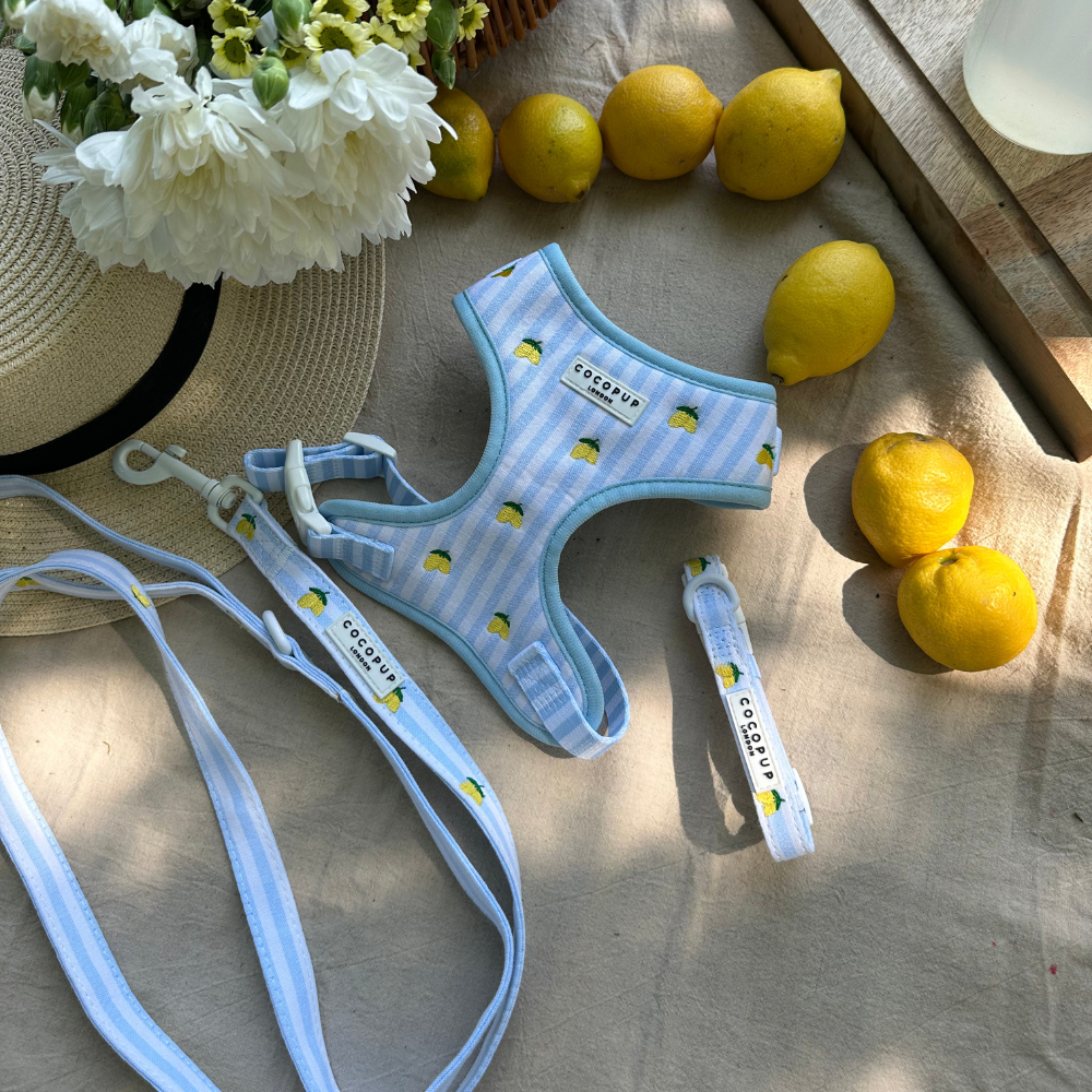 Living La Vida Lemon Adjustable Neck HARNESS