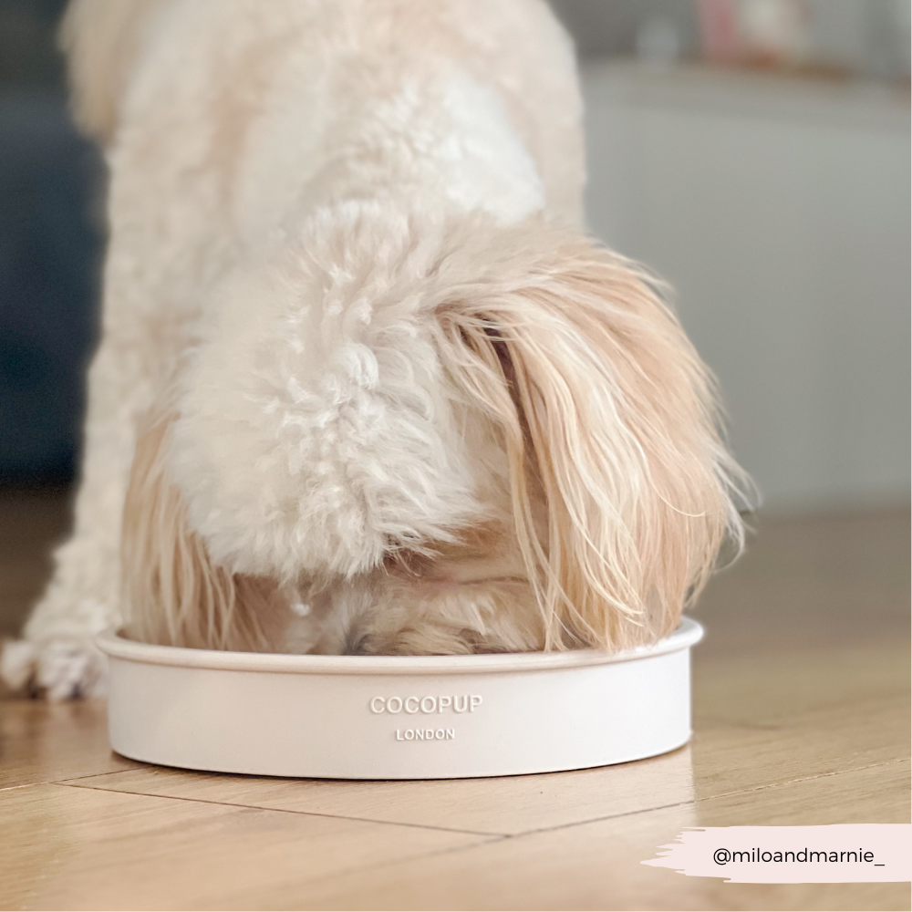 Silicone Slow Feed Dog Bowl - Baby Pink Flowers