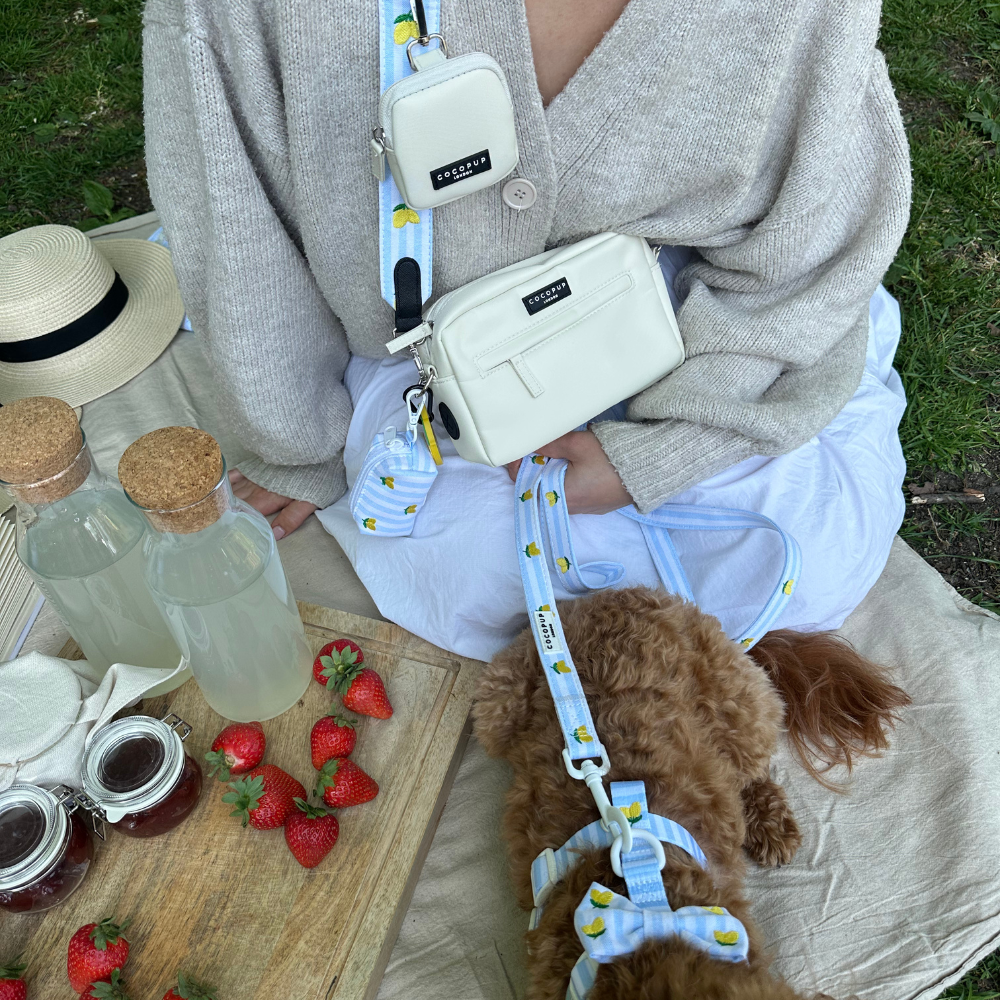 Luxe Dog Walking Bag Bundle - Living La Vida Lemon