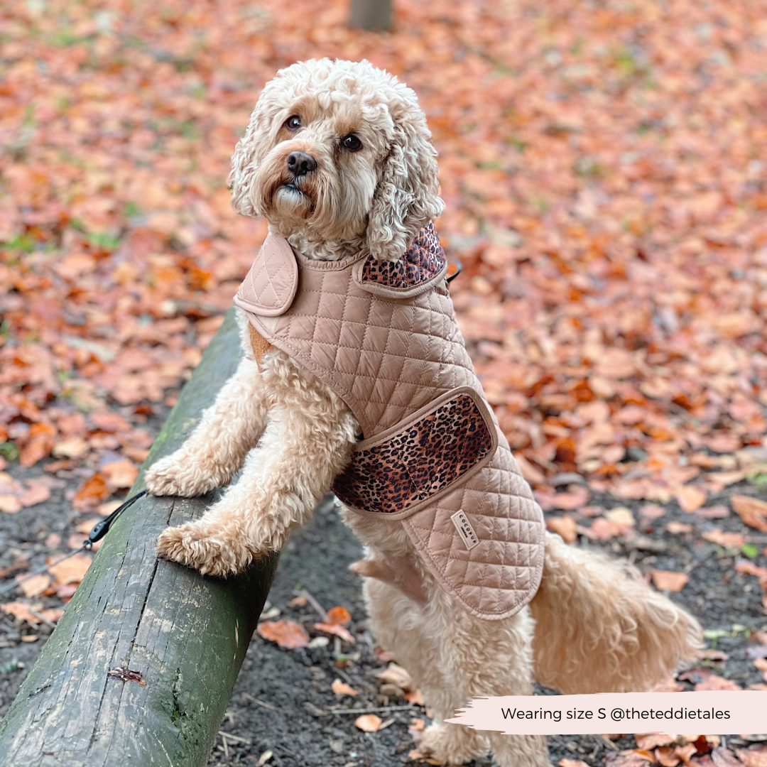 LUXE Quilted Dog Coat - Leopard Pup