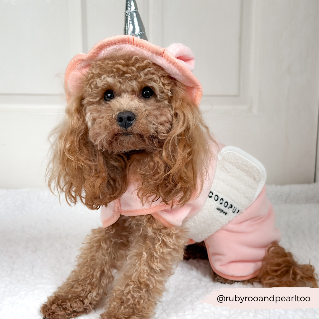 A small fluffy dog, adorned in the Cocopup London PRE-ORDER Pupicorn Drying Robe, complete with a sparkly silver party hat and a pink outfit featuring white accents that echo a unicorn theme, sits calmly on a white textured surface and looks at the camera. The Instagram handle "@rubyrooandpearltoo" is visible in the lower right corner.