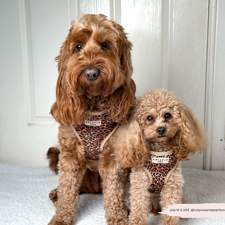 Quilted Leopard Pup Adjustable Neck Harness