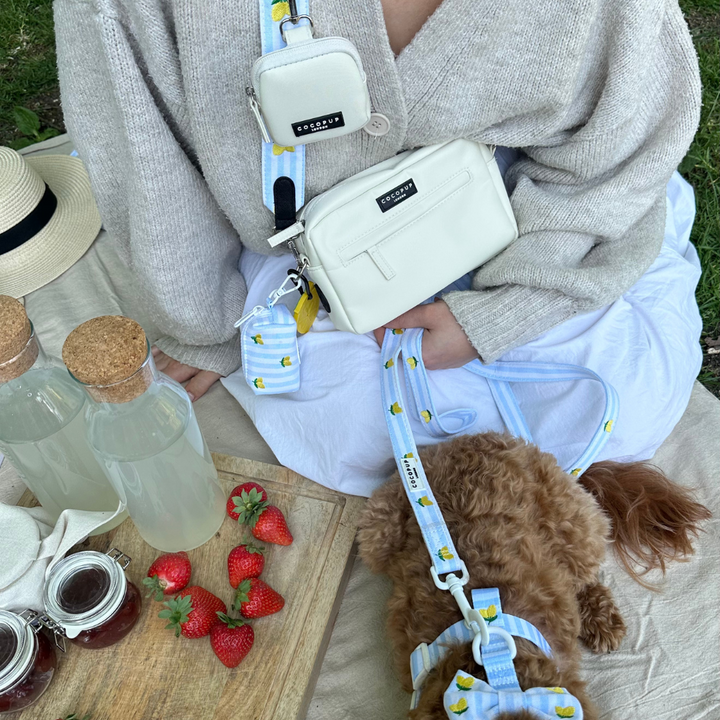 Luxe Dog Walking Bag Bundle - Living La Vida Lemon