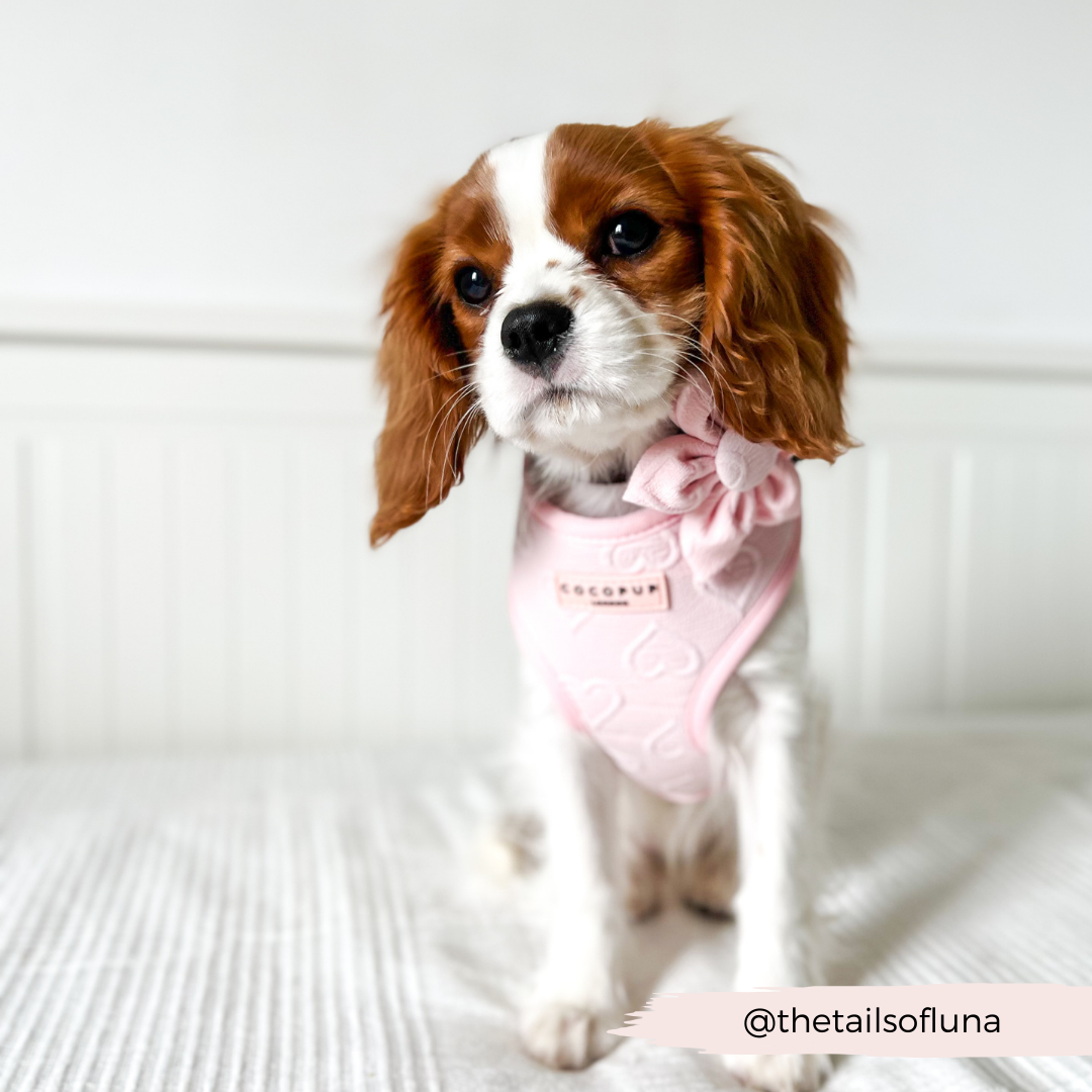 LUXE Baby Pink Heart Collar Flower