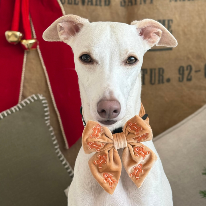 Luxe Velvet Sailor Bow Tie - Gingerbread Treats