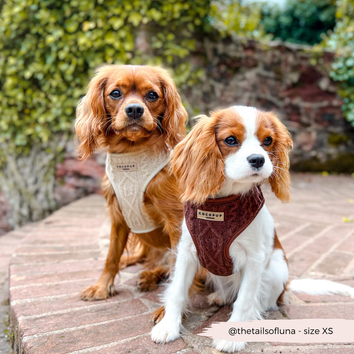 Cable Knit Jumper Adjustable Neck Harness - Toffee Pup Latte