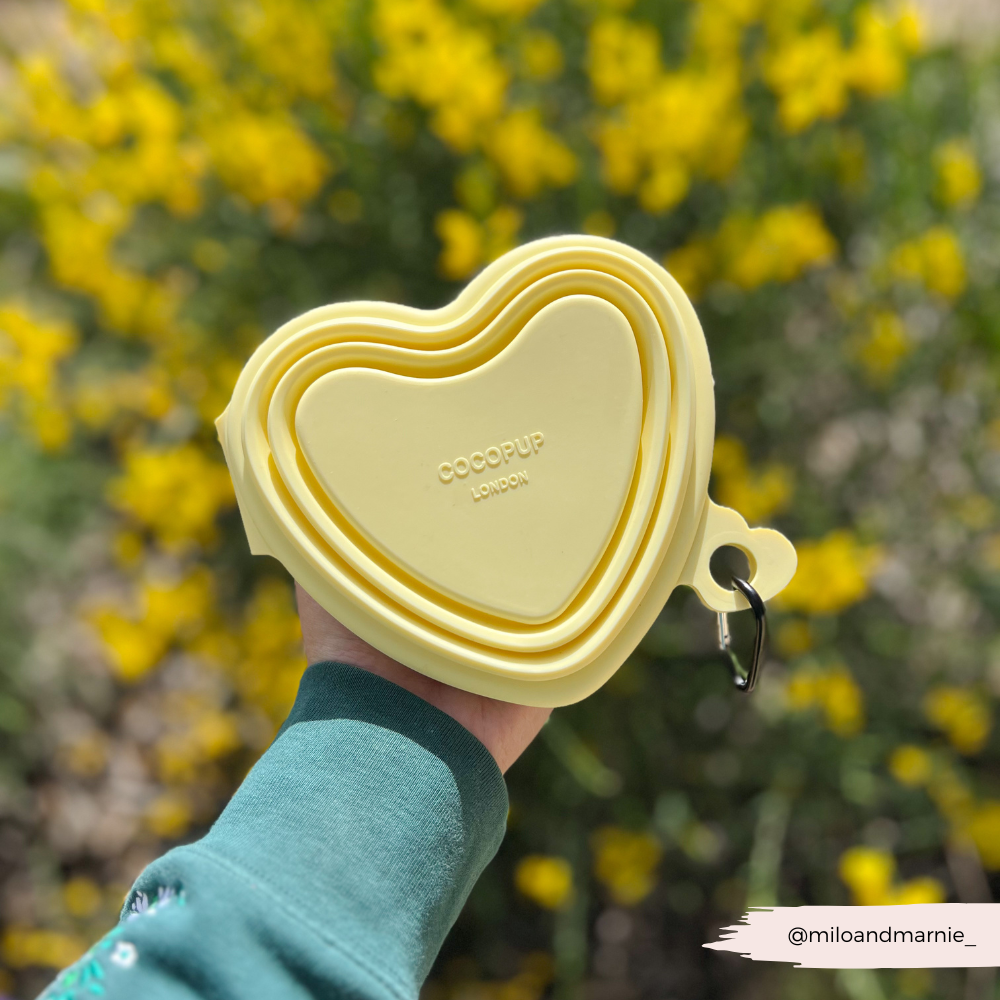 Heart Collapsible Bowl - Butter Yellow