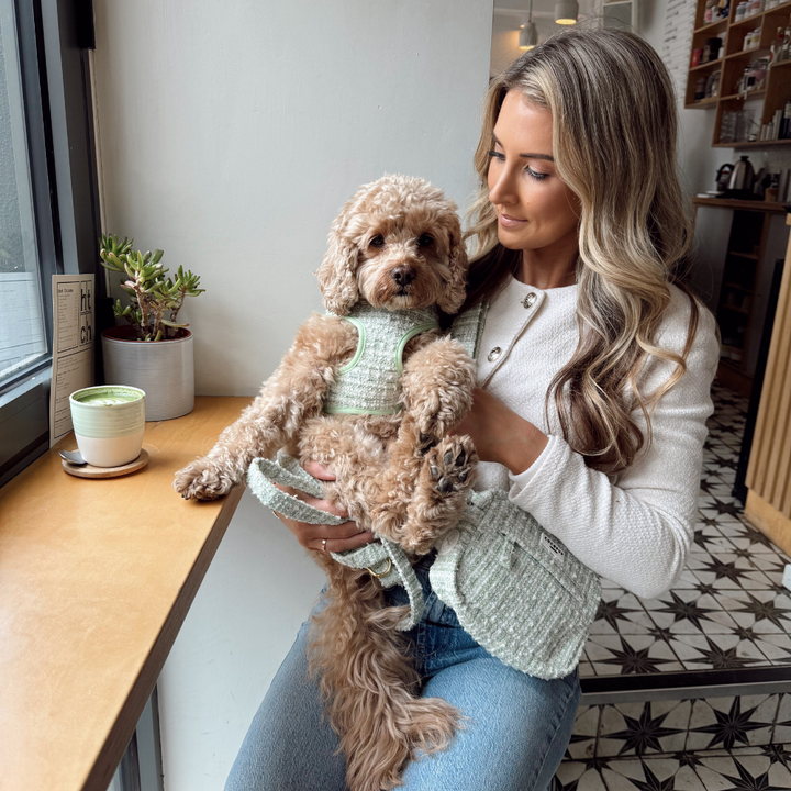 Matcha Textured Tweed Dog Walking Bag Bundle - Matcha Textured Tweed