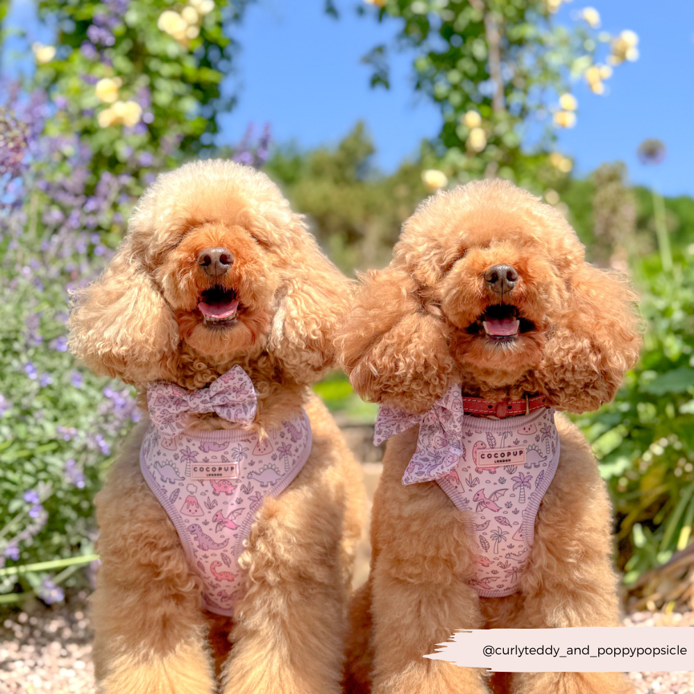 Princess Dino Sailor Bow Tie