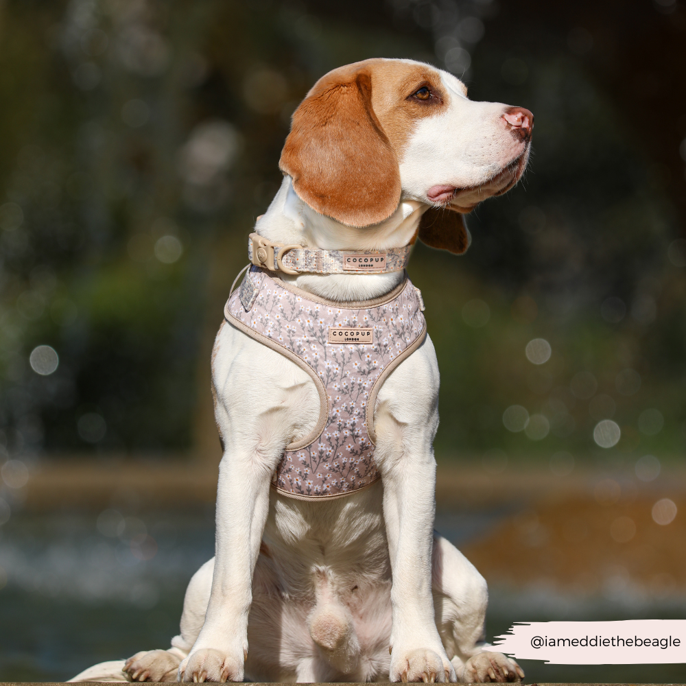 Nude Flowers Adjustable Neck HARNESS