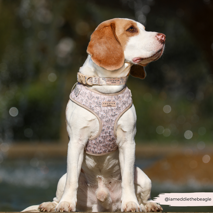 Nude Flowers Adjustable Neck HARNESS