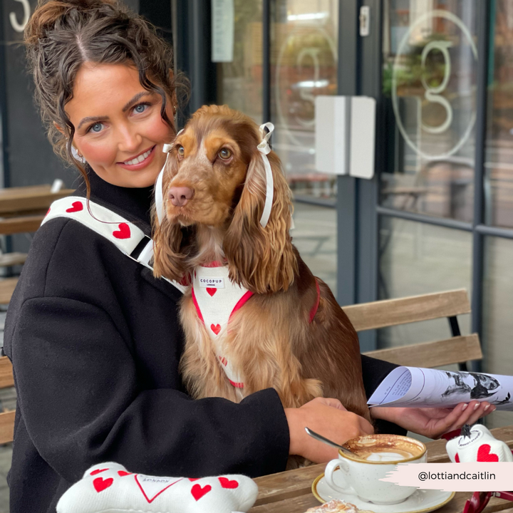 Dog Walking Bag Bundle - Hugs & Knitted