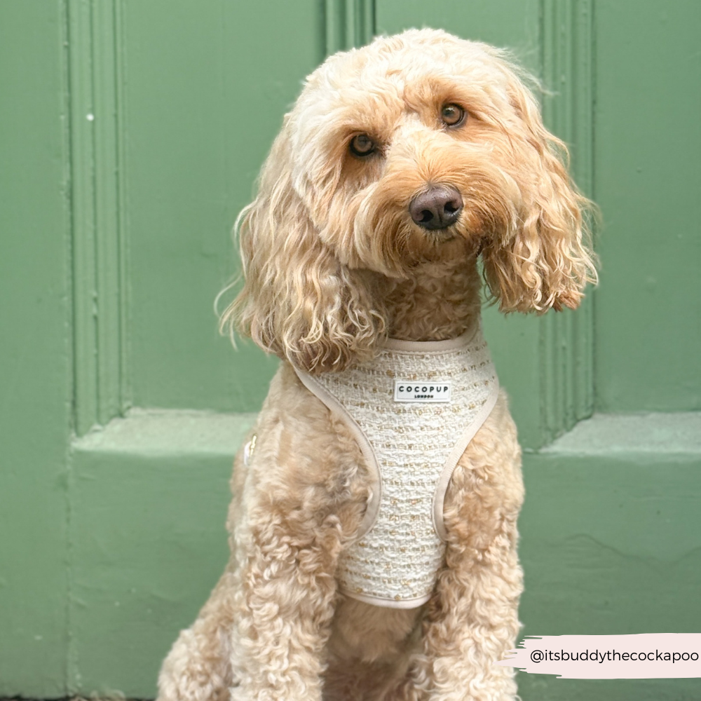 Vanilla Textured Tweed Adjustable Neck HARNESS