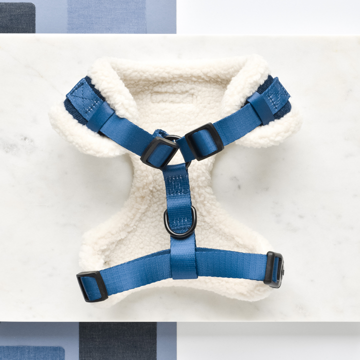 Denim Adjustable Neck Harness