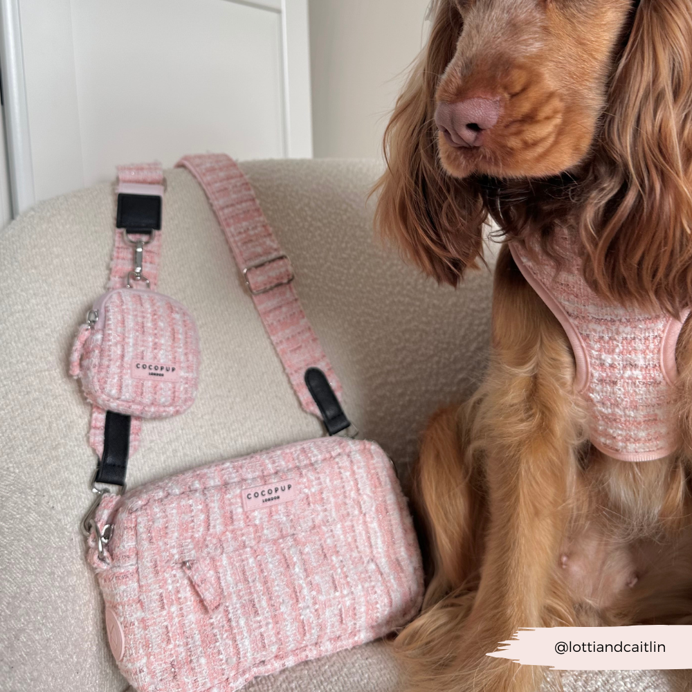 Treat Pouch - Pink Textured Tweed