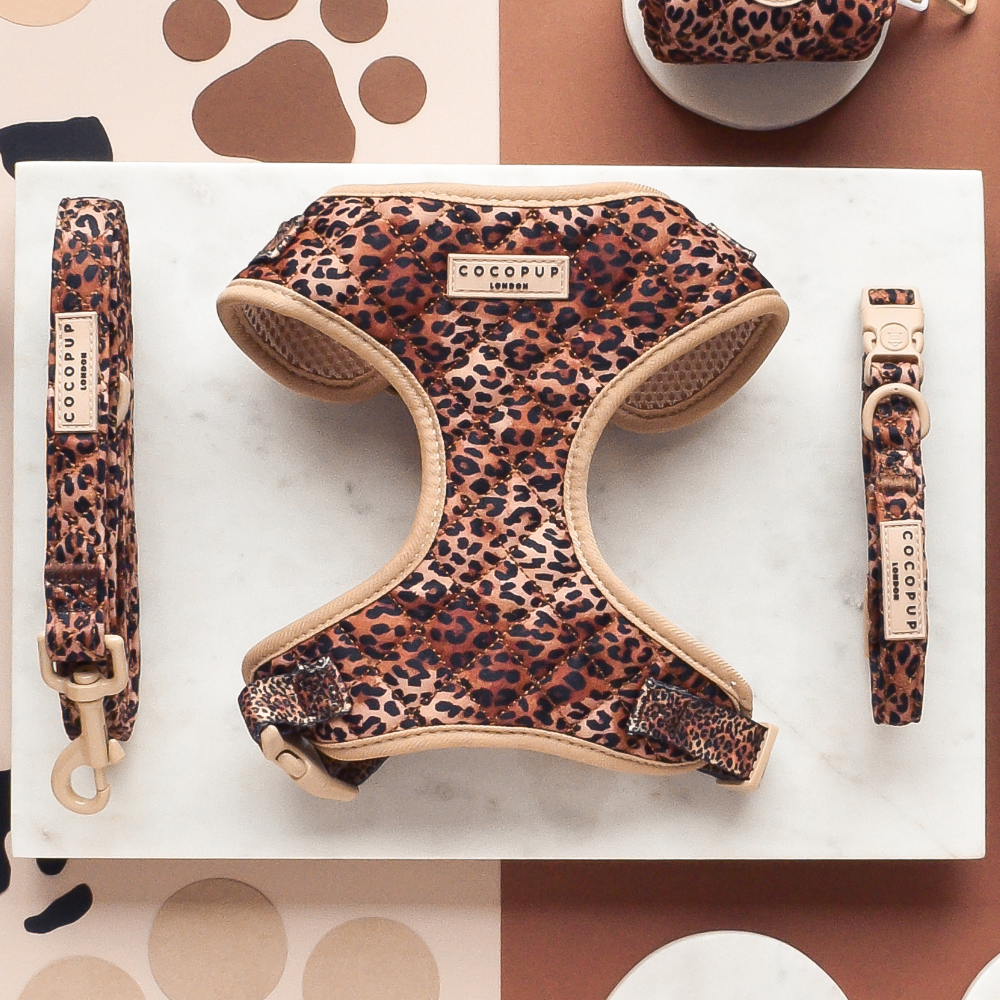 Quilted Leopard Pup Collar