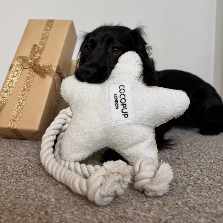 Star Cosy Dog Toy