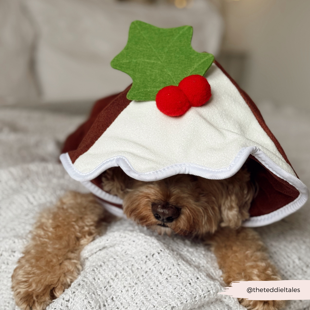 PERSONALISED Christmas Pudding Drying Robe