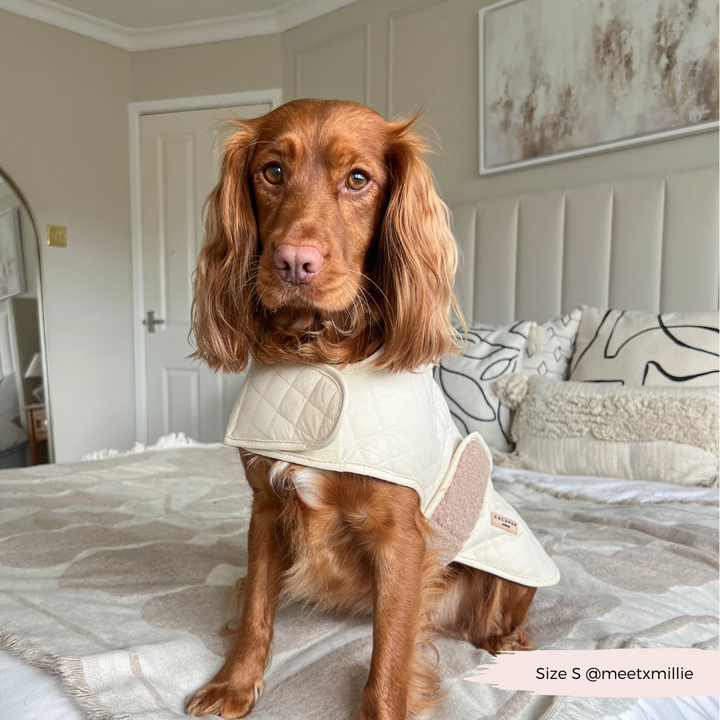 LUXE Quilted Dog Coat - Creamy Chai