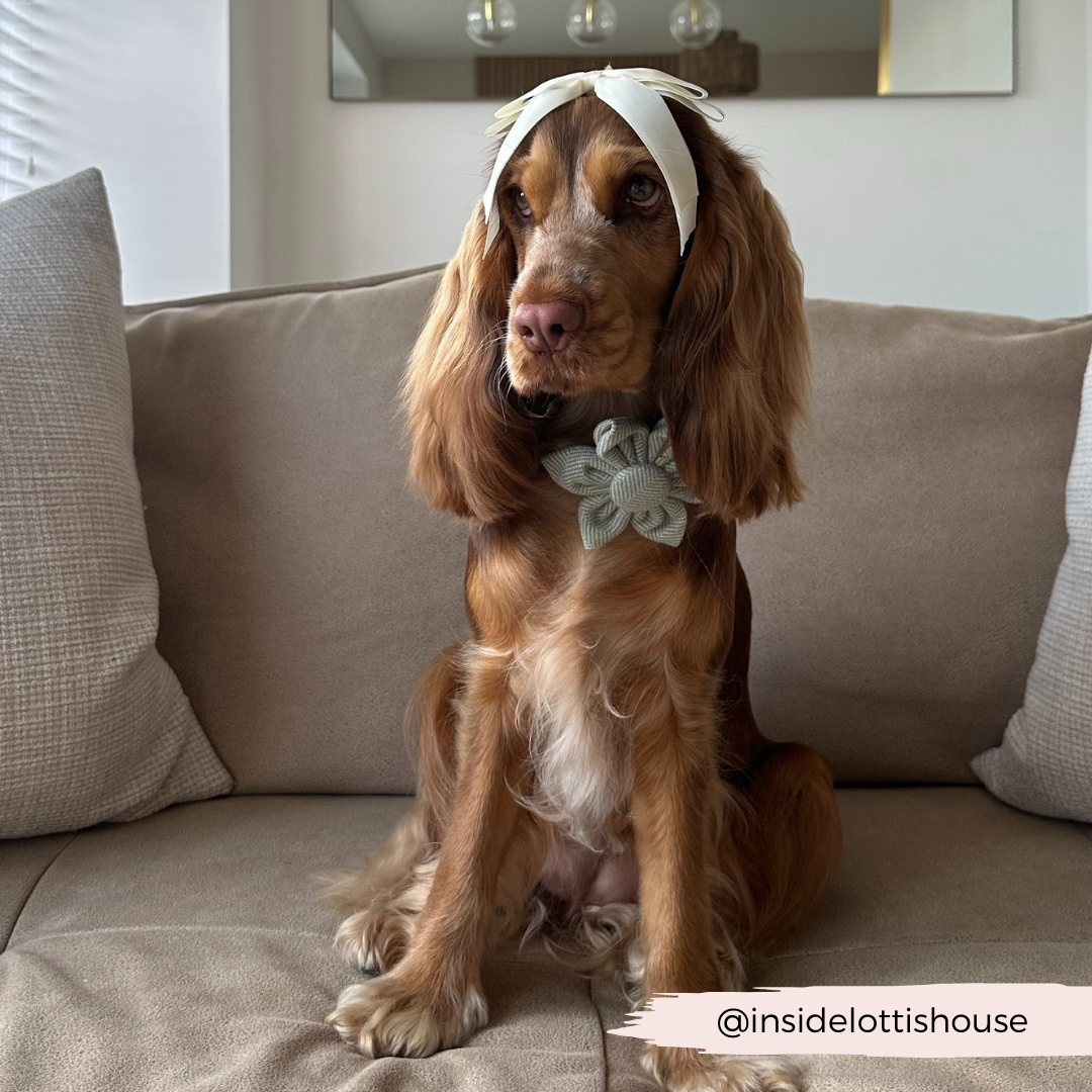 Sage Tweed Collar Flower