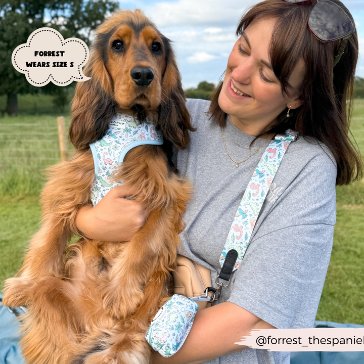 A woman holding a dog with a Cocopup London Dog Walking Bag slung over her shoulder, adorned with the playful Bag Strap - Dinopaws.