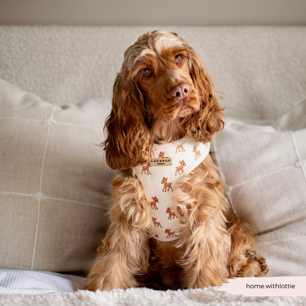 Fleecy Fawn Adjustable Neck Harness, Lead & Collar Bundle