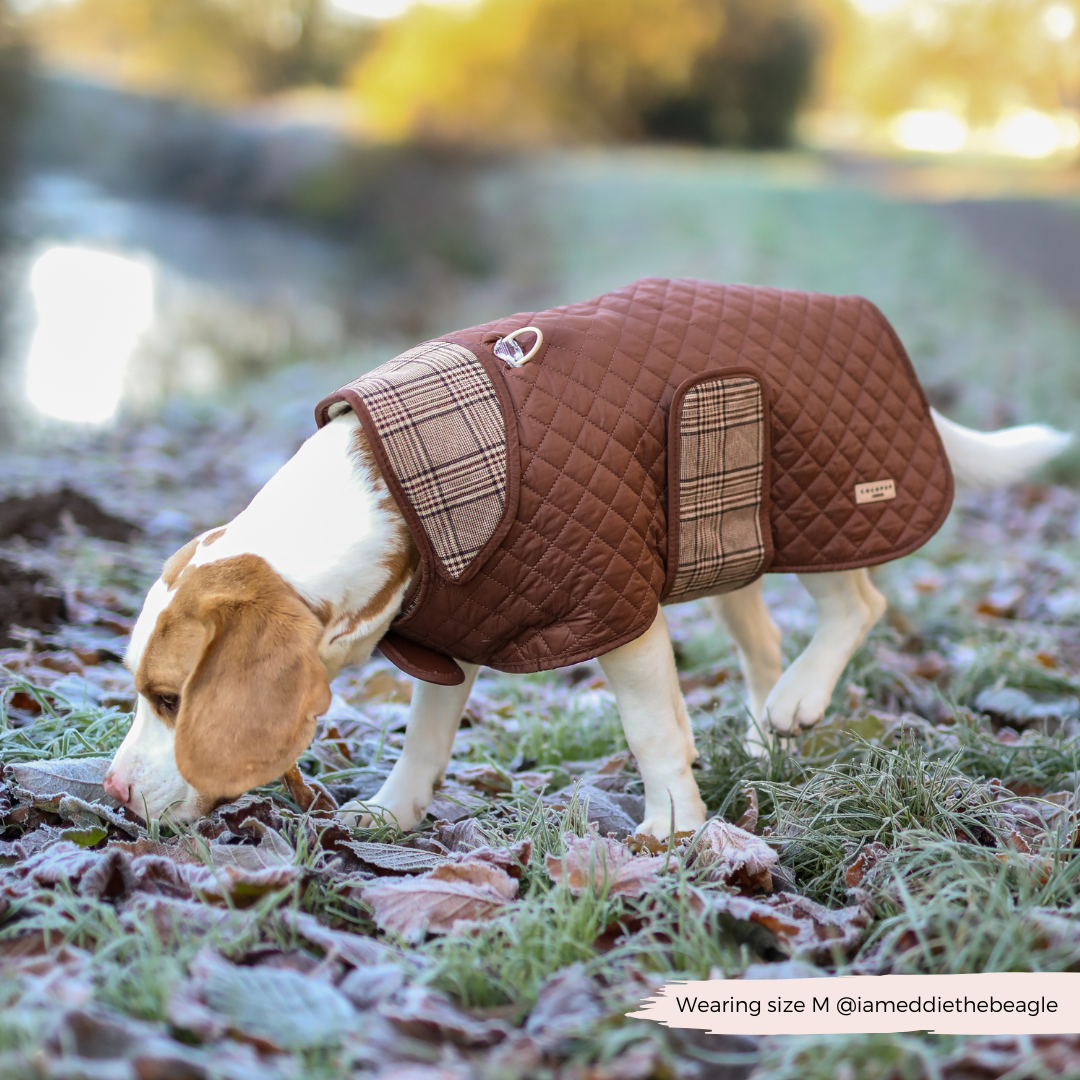 LUXE Quilted Dog Coat - Pup Plaid