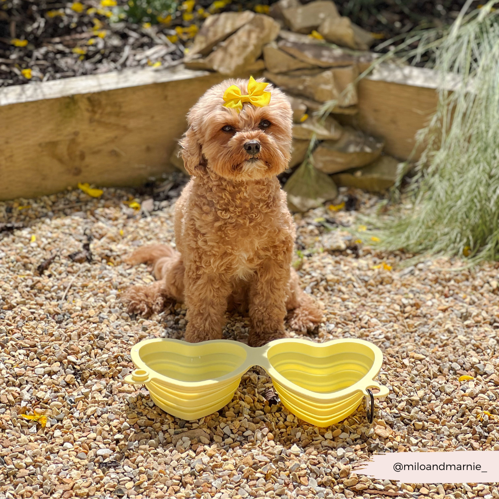 Heart Collapsible Bowl - Butter Yellow