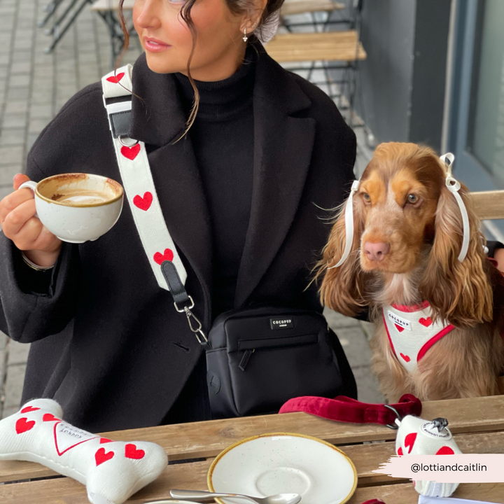 Dog Walking Bag Bundle - Hugs & Knitted